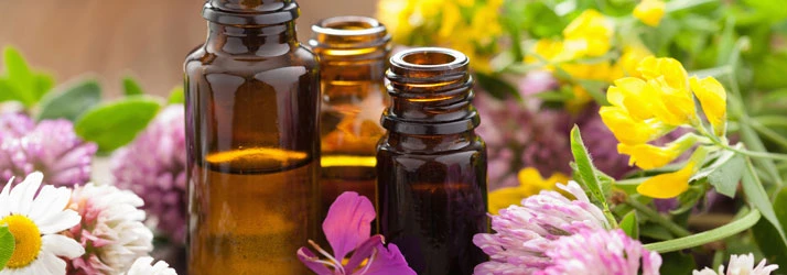 Chiropractic Merrick NY Wellness Products Chiropractic Merrick NY Wellness Products